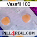 Vasafil 100 24